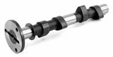 Engle 125 camshaft